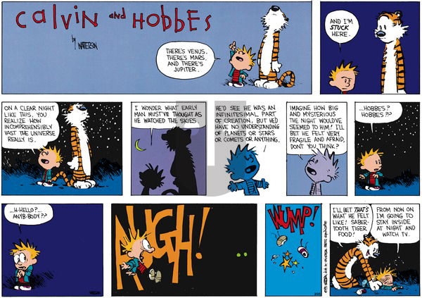 Calvin and Hobbes on Sunday April 14, 1991 Comic Strip