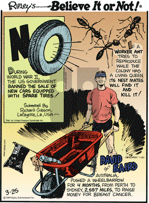 Ripley's Believe It or Not on Wednesday March 25, 2009 Comic Strip