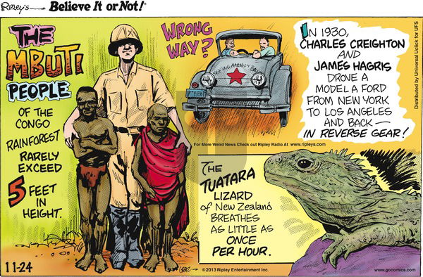 Ripley's Believe It or Not on Sunday November 24, 2013 Comic Strip