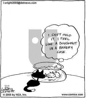 Kit 'N' Carlyle on Tuesday December 11, 2007 Comic Strip