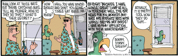 Monty on Tuesday April 28, 2009 Comic Strip