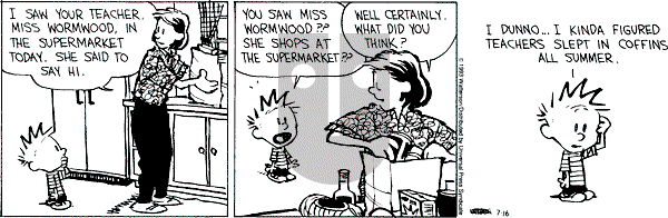Calvin and Hobbes - Friday July 16, 1993 Comic Strip