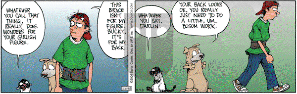 Get Fuzzy on Wednesday August 18, 2004 Comic Strip