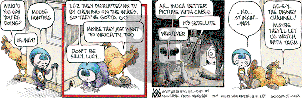 Non Sequitur on Friday October 9, 2009 Comic Strip