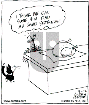 Kit 'N' Carlyle on Wednesday November 22, 2000 Comic Strip