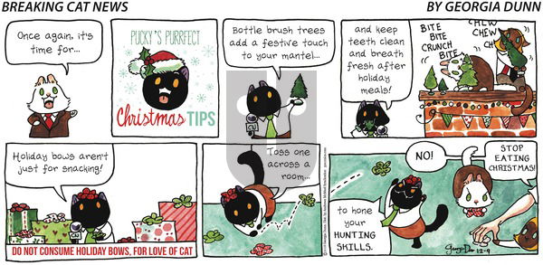 Breaking Cat News on Sunday December 9, 2018 Comic Strip