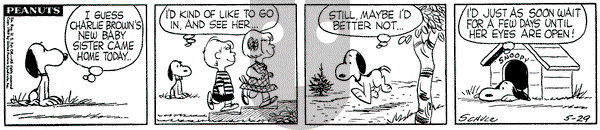 Peanuts on Friday May 29, 1959 Comic Strip