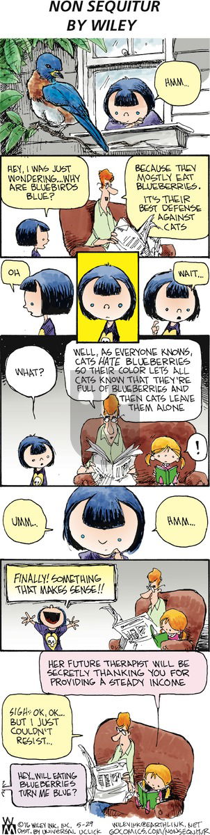 Non Sequitur on Sunday May 29, 2016 Comic Strip