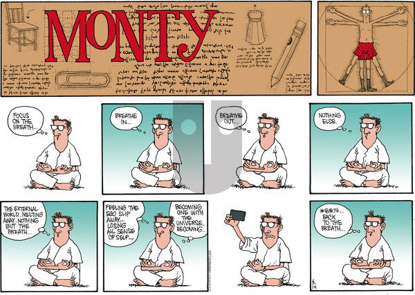 Monty on Sunday June 14, 2015 Comic Strip