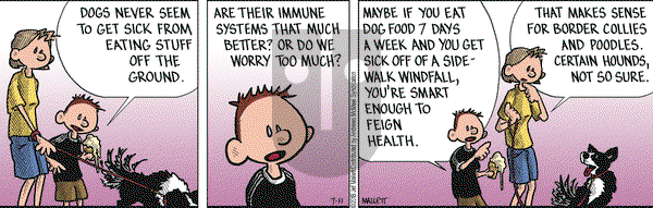 Frazz on Wednesday July 11, 2018 Comic Strip