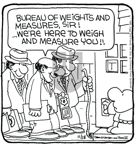 Ziggy - Monday November 18, 1996 Comic Strip