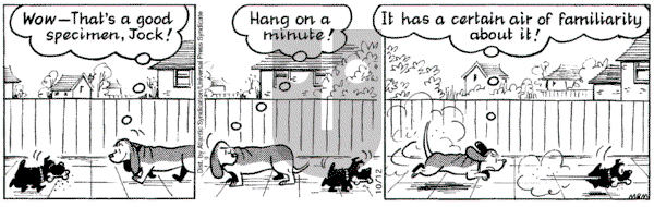 Fred Basset on Tuesday October 12, 2004 Comic Strip