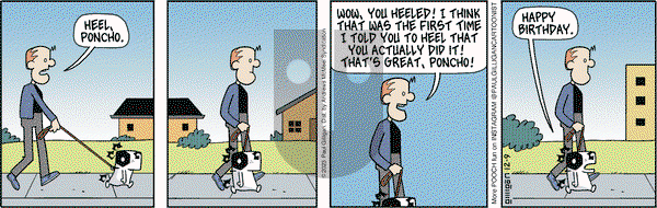 Pooch Cafe - Saturday December 9, 2023 Comic Strip
