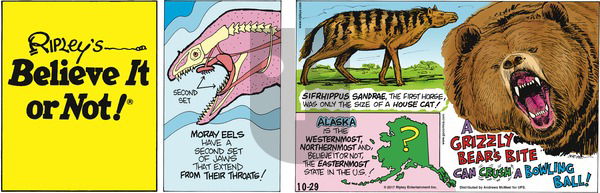 Ripley's Believe It or Not on Sunday October 29, 2017 Comic Strip