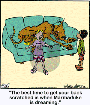 Marmaduke on Tuesday September 10, 2019 Comic Strip