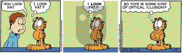Garfield - Tuesday January 15, 2008 Comic Strip