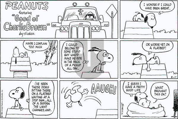 Peanuts - Sunday February 17, 1980 Comic Strip