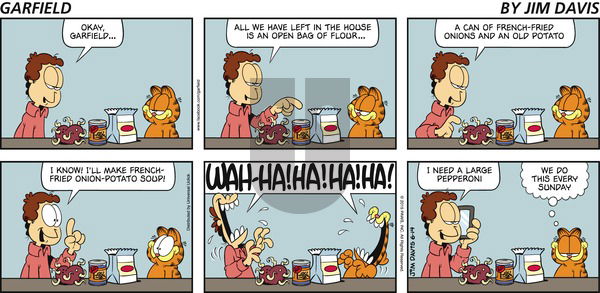 Garfield on Sunday June 14, 2015 Comic Strip