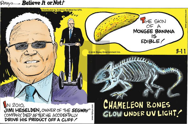 Ripley's Believe It or Not on Sunday March 11, 2018 Comic Strip