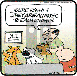 Ziggy on Tuesday August 16, 2011 Comic Strip