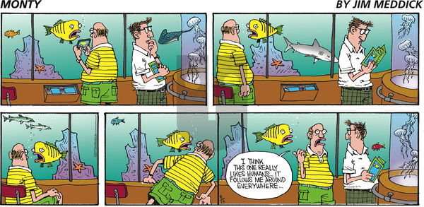 Monty on Sunday August 13, 2017 Comic Strip
