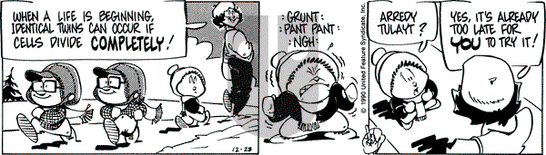 Rose is Rose on Friday December 28, 1990 Comic Strip
