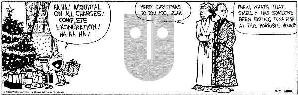 Calvin and Hobbes - Saturday December 25, 1993 Comic Strip