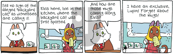 Breaking Cat News on Wednesday May 3, 2017 Comic Strip
