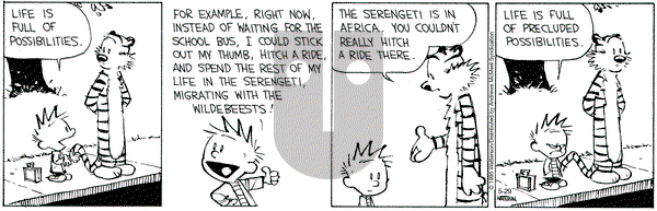 Calvin and Hobbes on Thursday May 29, 2025 Comic Strip