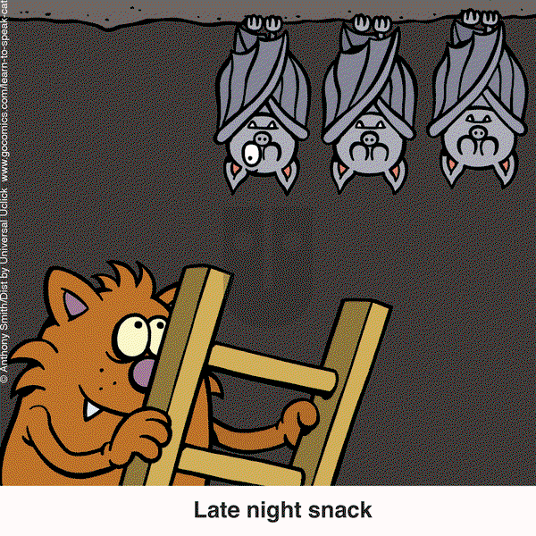 Learn to Speak Cat on Wednesday January 29, 2025 Comic Strip