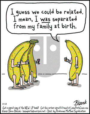 Loose Parts on Thursday March 13, 2025 Comic Strip