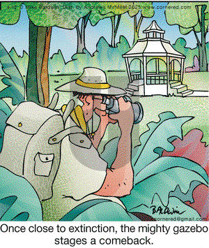 Cornered on Saturday April 12, 2025 Comic Strip