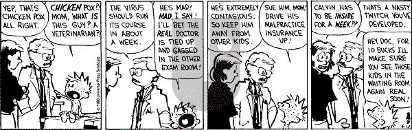 Calvin and Hobbes - Wednesday June 13, 1990 Comic Strip