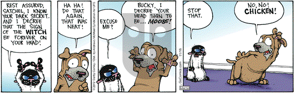 Get Fuzzy - Saturday November 16, 2024 Comic Strip