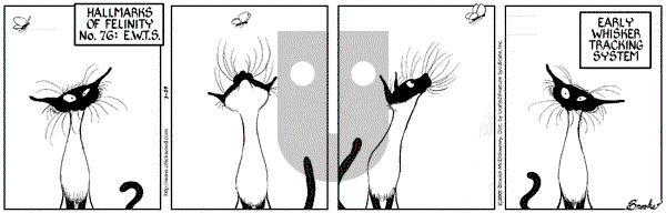 9 Chickweed Lane on Thursday March 29, 2001 Comic Strip
