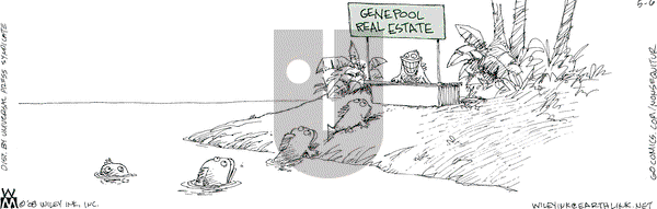 Non Sequitur on Tuesday May 6, 2008 Comic Strip