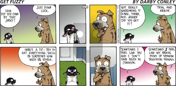 Get Fuzzy on Sunday October 28, 2012 Comic Strip