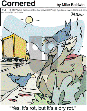 Cornered on Saturday July 7, 2007 Comic Strip