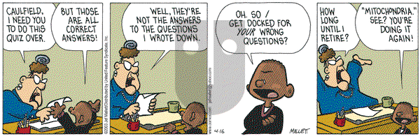 Frazz on Wednesday April 16, 2003 Comic Strip