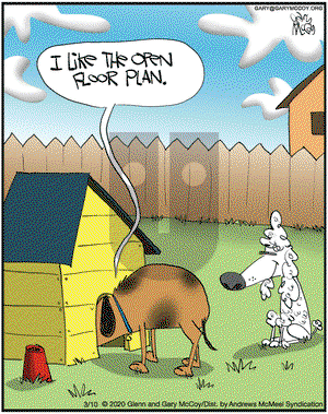 The Flying McCoys on Tuesday March 10, 2020 Comic Strip
