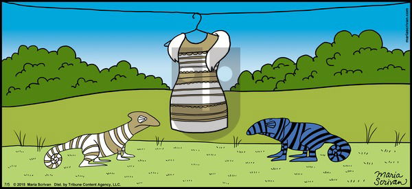 Half Full on Sunday July 5, 2015 Comic Strip