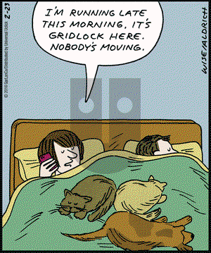 Real Life Adventures on Tuesday February 23, 2016 Comic Strip