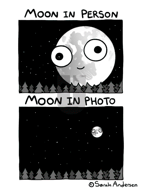 Sarah's Scribbles on Saturday September 28, 2019 Comic Strip