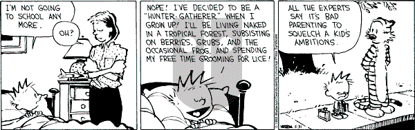 Calvin and Hobbes - Monday May 31, 1993 Comic Strip