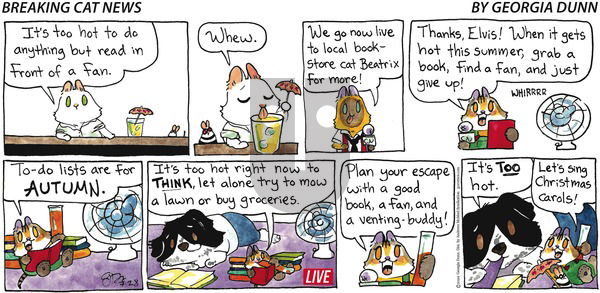 Breaking Cat News - Sunday July 28, 2024 Comic Strip