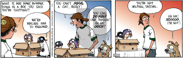 Get Fuzzy on Thursday December 24, 2009 Comic Strip