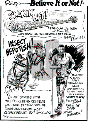 Ripley's Believe It or Not on Friday July 8, 2005 Comic Strip