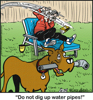 Marmaduke on Tuesday October 29, 2019 Comic Strip