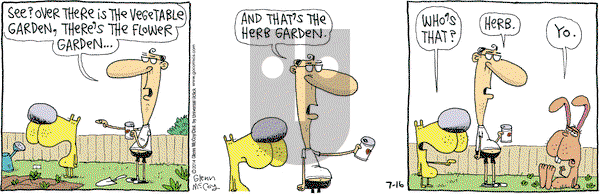 The Duplex on Wednesday July 16, 2014 Comic Strip