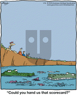 In the Bleachers - Wednesday January 15, 2025 Comic Strip